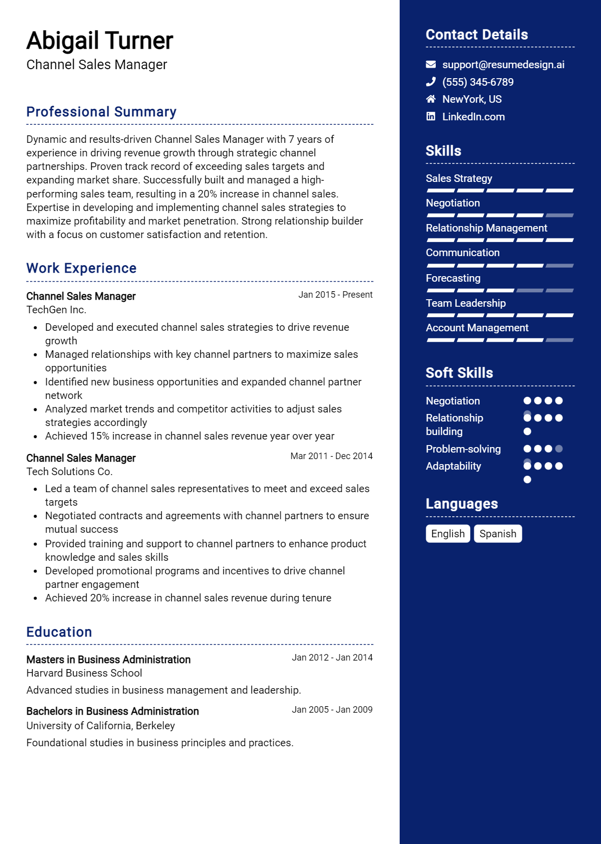 Channel Sales Manager Resume Example