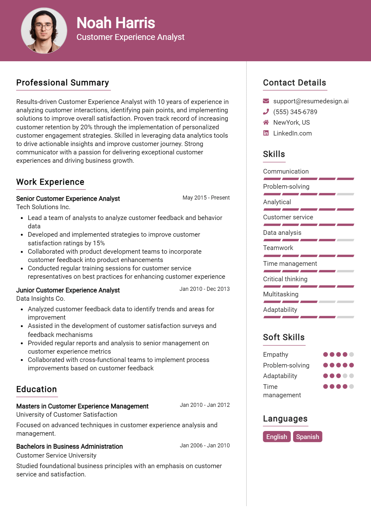 Customer Experience Analyst Resume Example