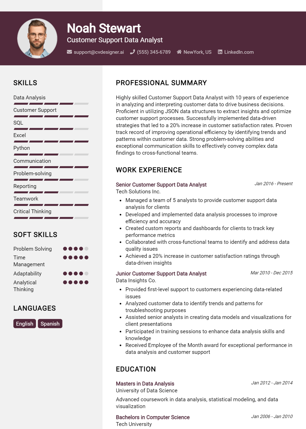 Customer Support Data Analyst Resume Example