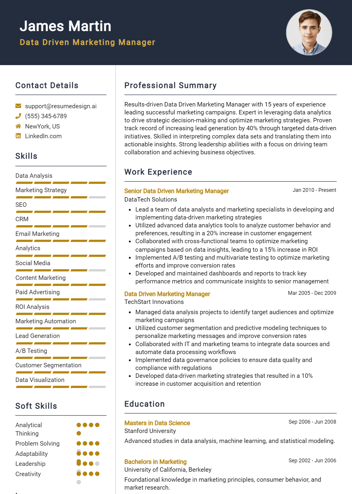 Data Driven Marketing Manager Resume Example