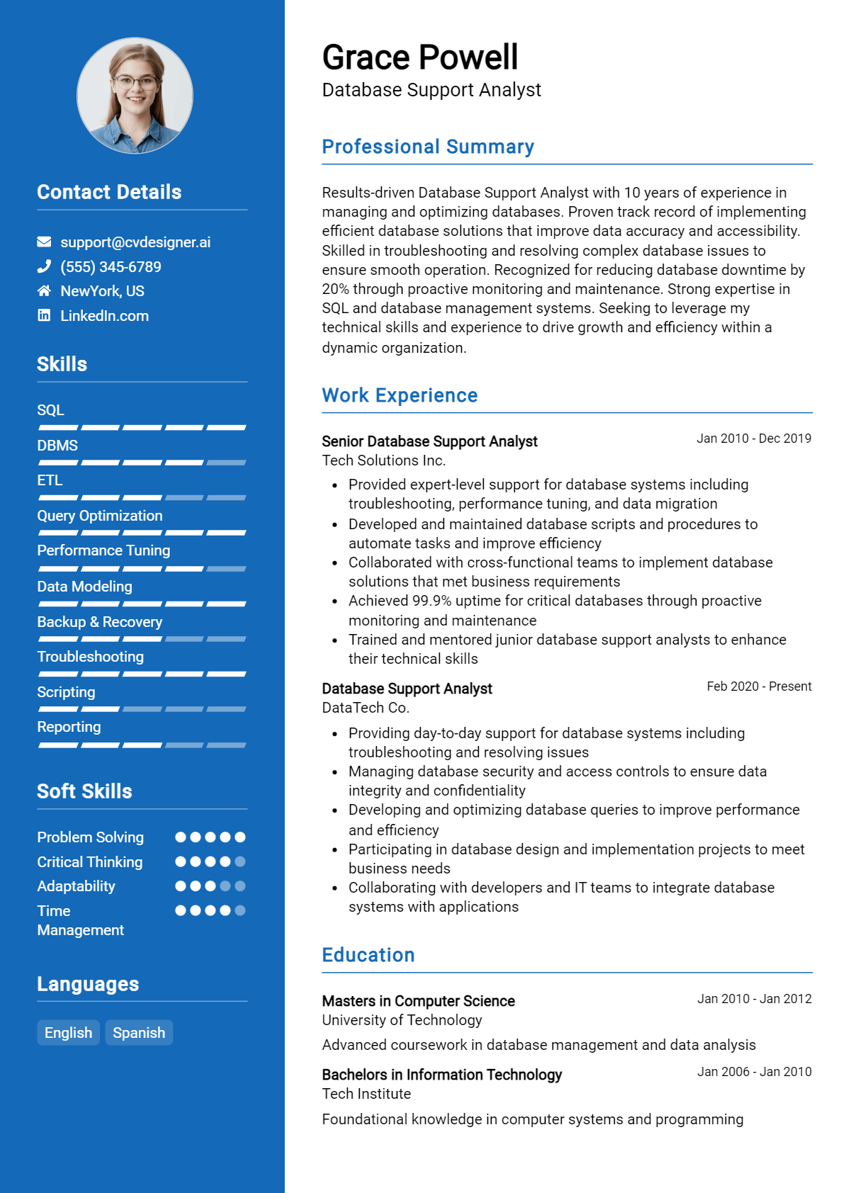 Database Support Analyst Resume Example