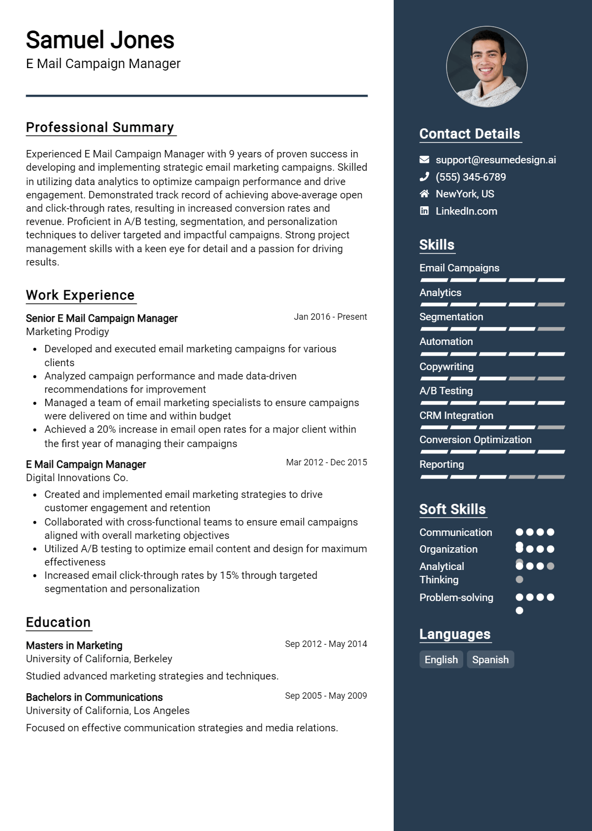 E Mail Campaign Manager Resume Example