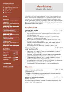 14 Head of Sales Resume Examples - Enterprise Sales Manager Resume Example 214x300 