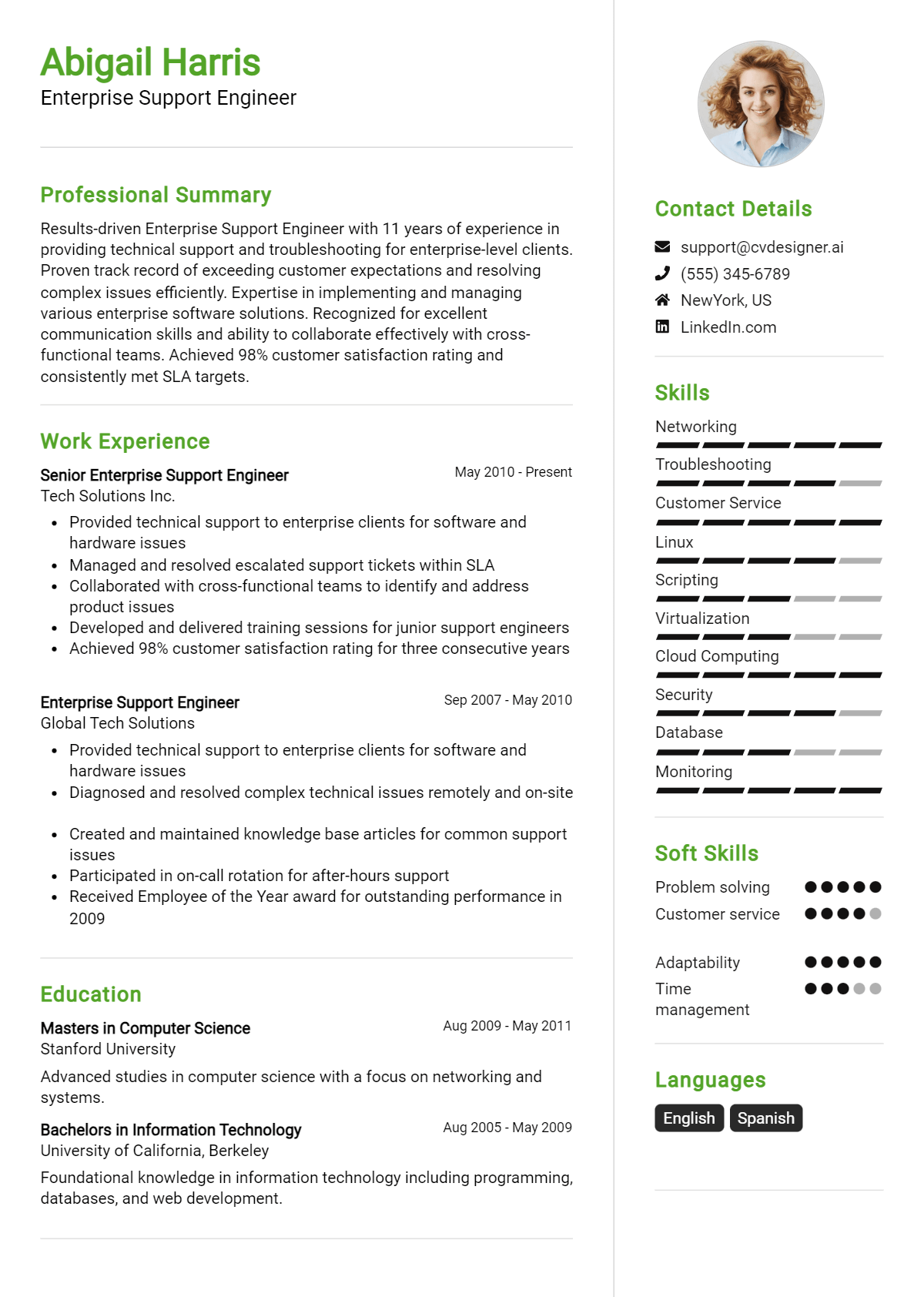 Enterprise Support Engineer Resume Example