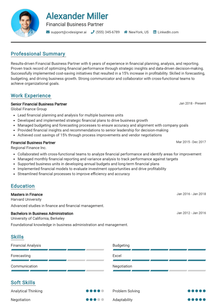 Financial Business Partner Resume Example