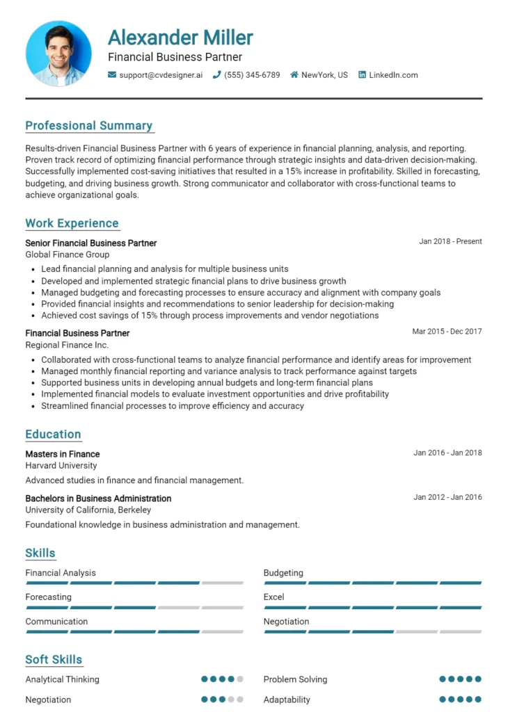 Financial Business Partner Resume Example