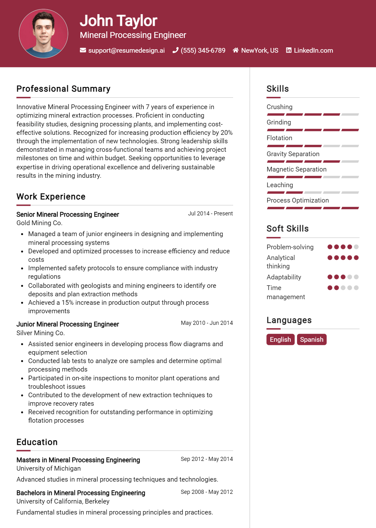 Mineral Processing Engineer Resume Example