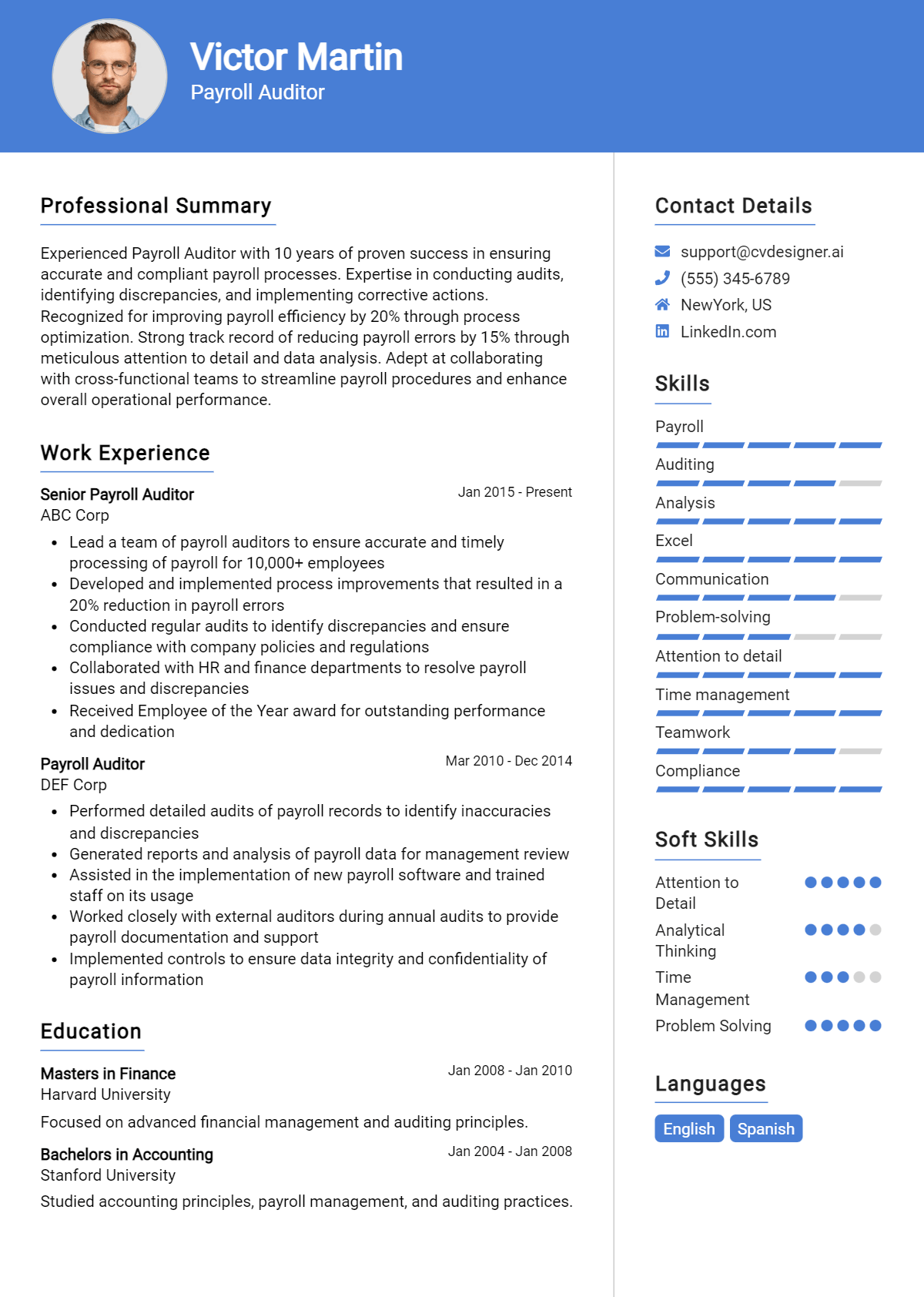 Payroll Auditor Resume Example