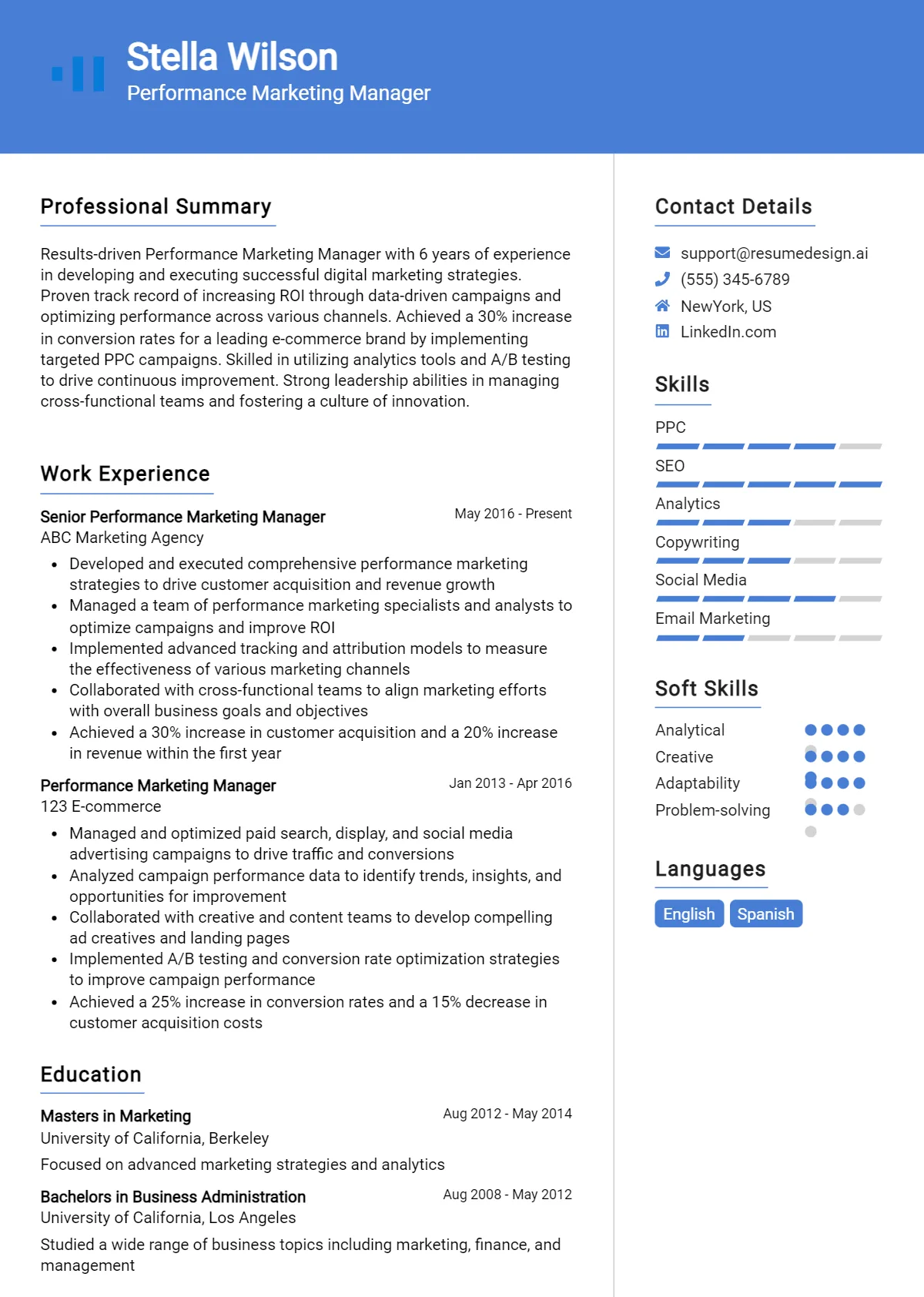 Performance Marketing Manager Resume Example