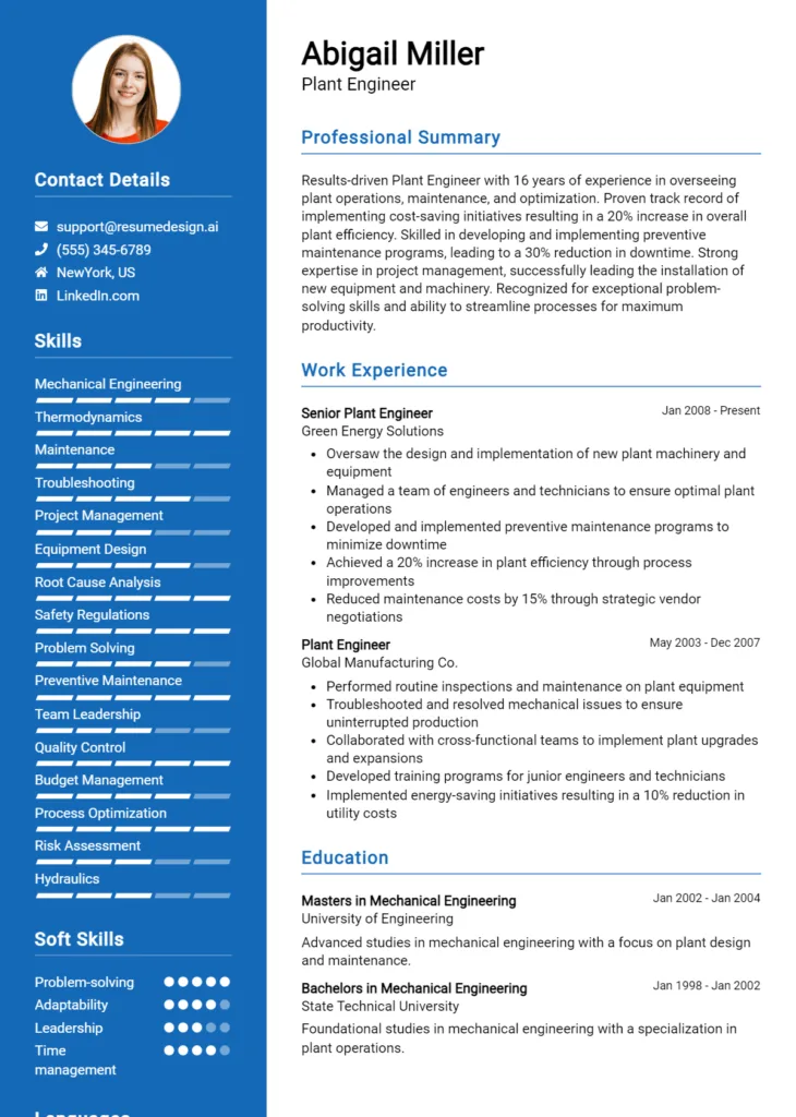 Plant Engineer Resume Example