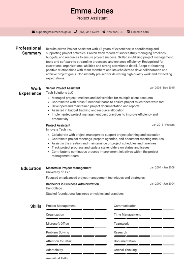 Project Assistant Resume Example