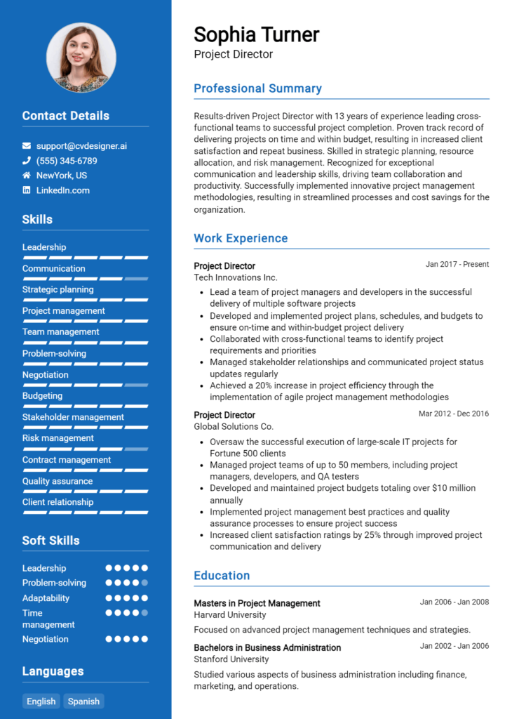 Project Director Resume Example