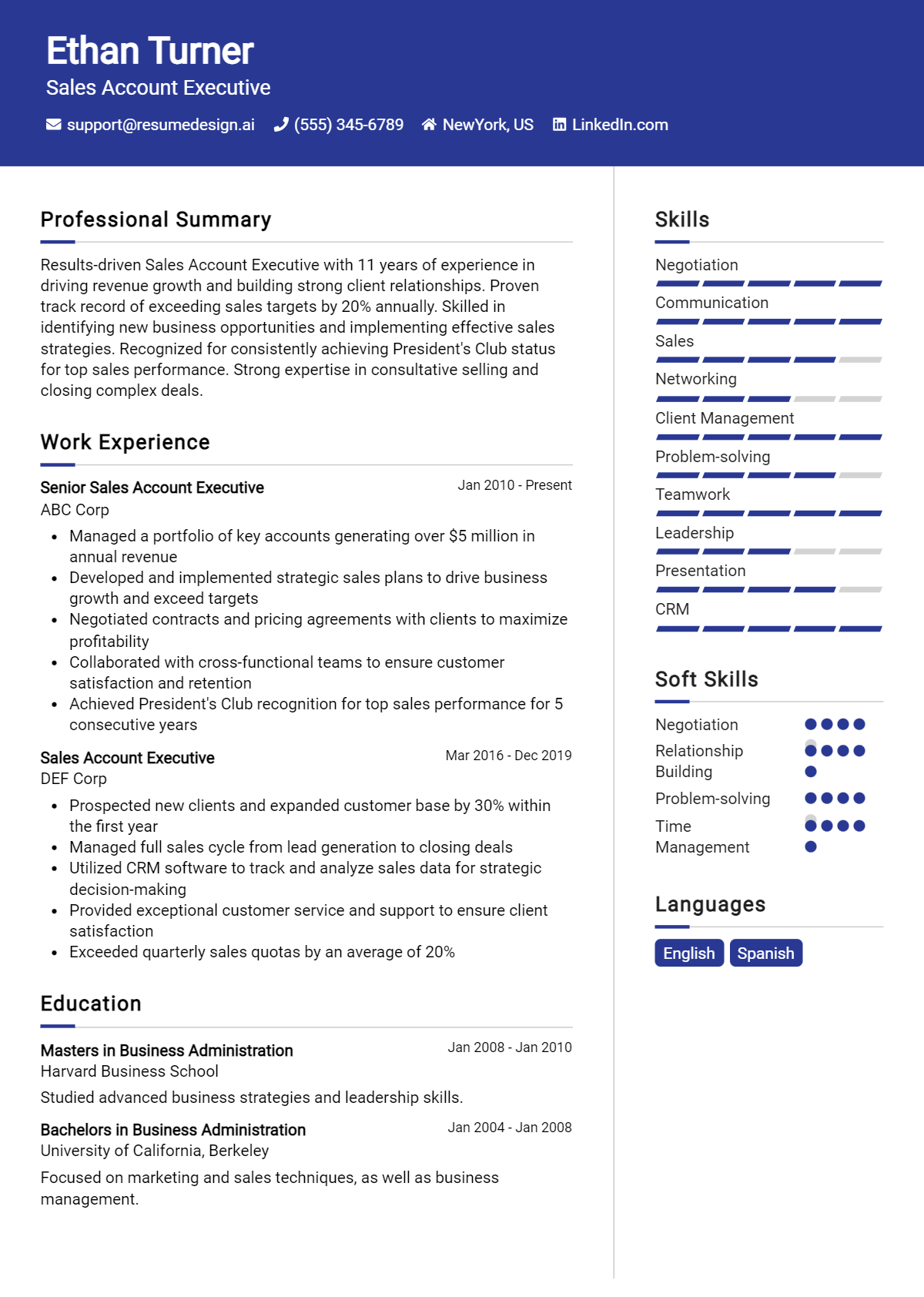 Sales Account Executive Resume Example