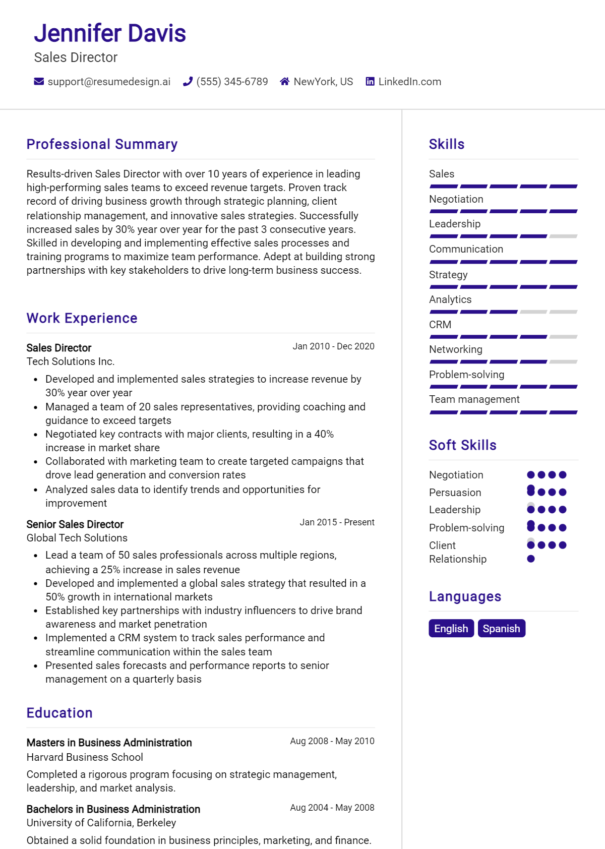 Sales Director Resume Example