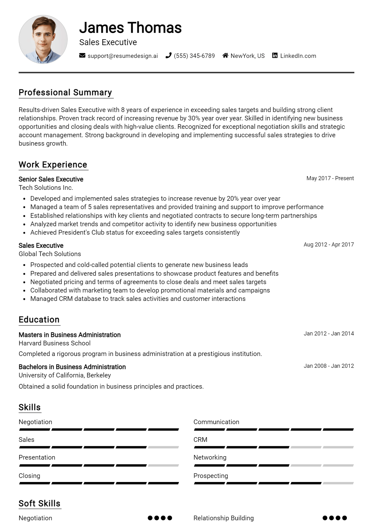 Sales Executive Resume Example