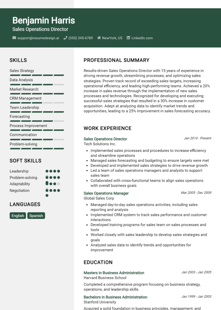 Sales Operations Director Resume Example