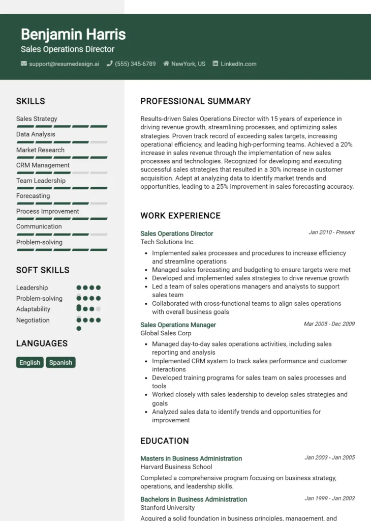 Sales Operations Director Resume Example