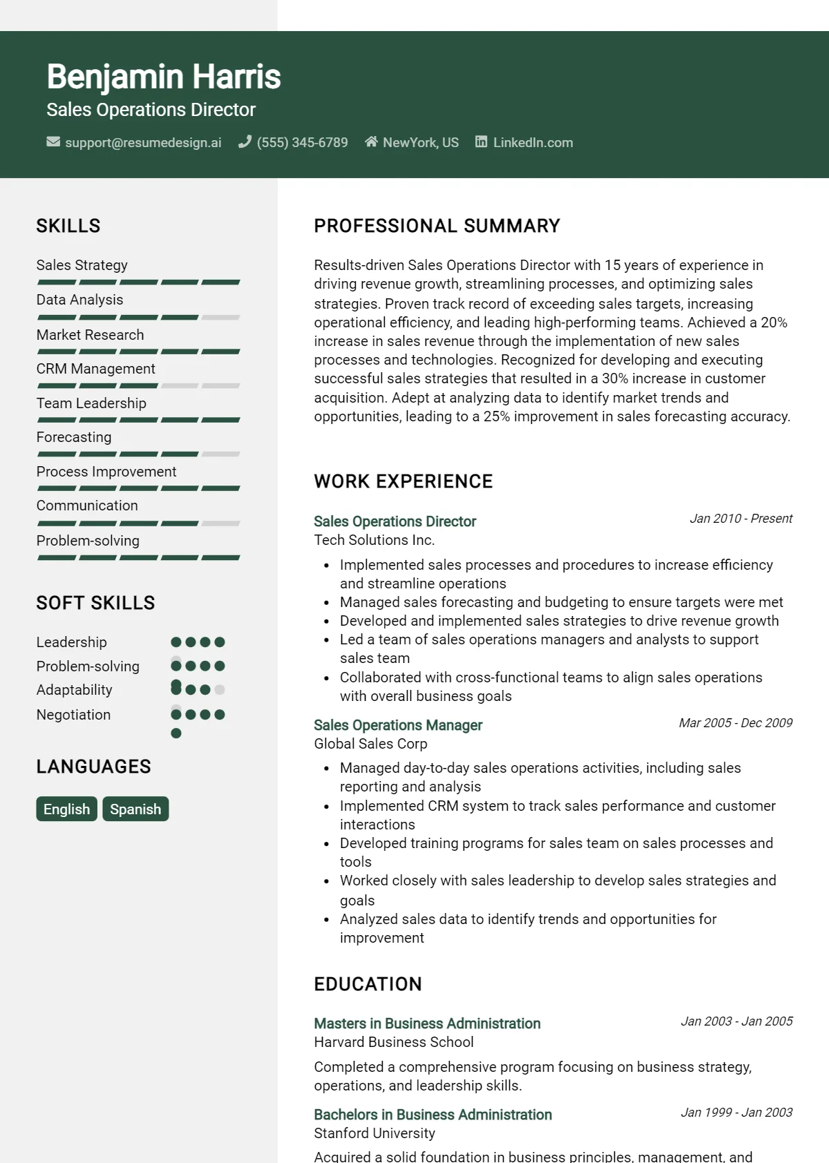 Sales Operations Director Resume Example