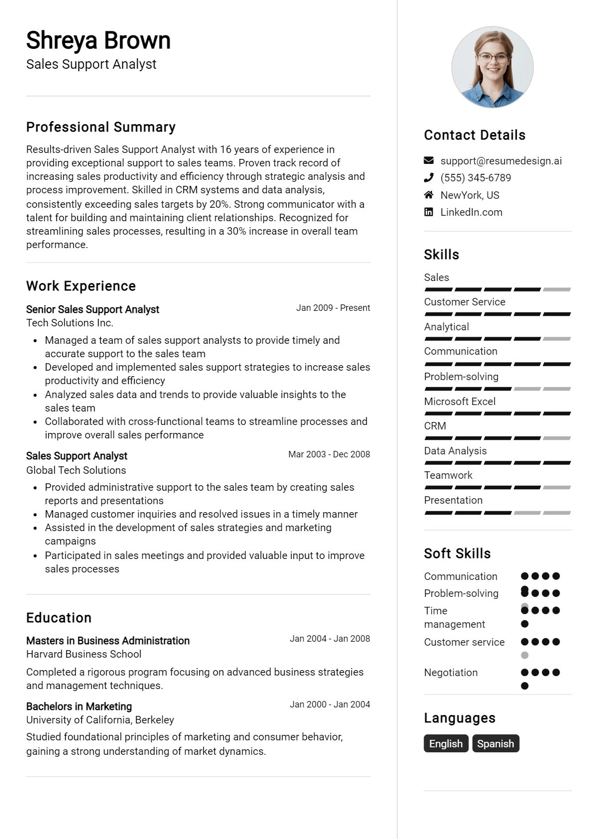 Sales Support Analyst Resume Example