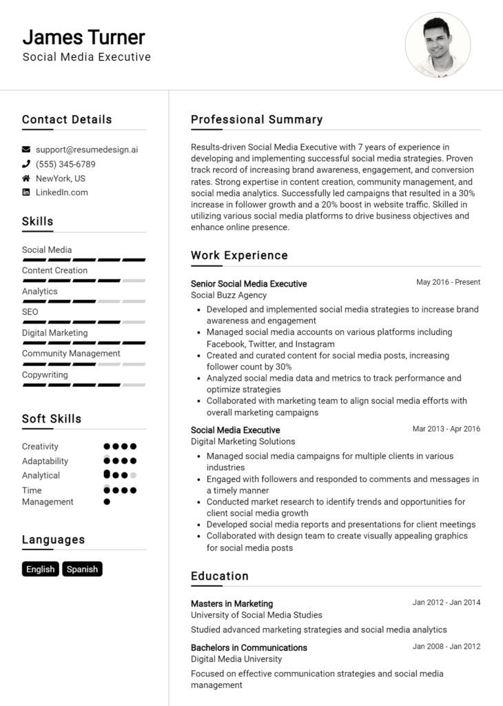 Social Media Executive Resume Example