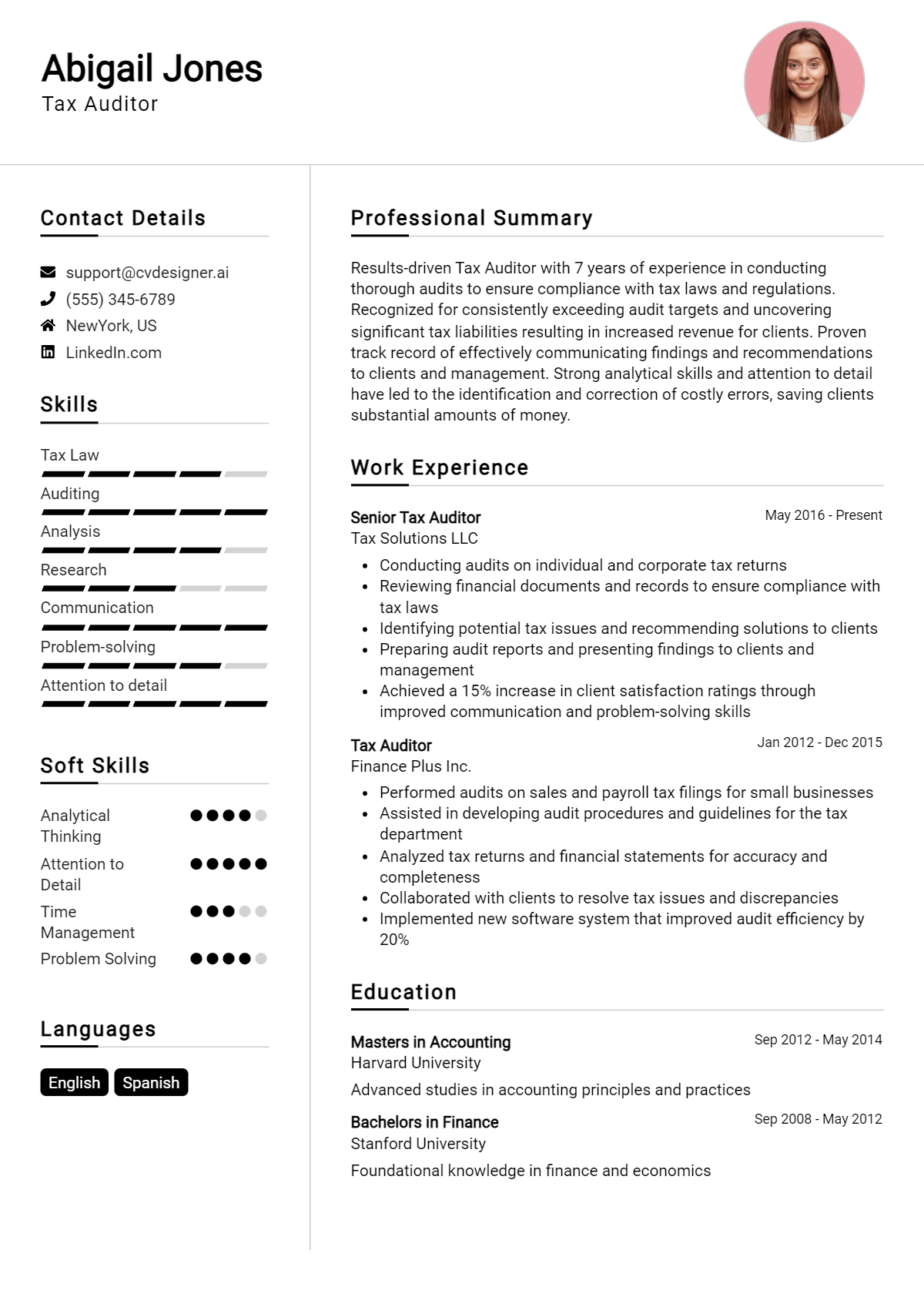 Tax Auditor Resume Example