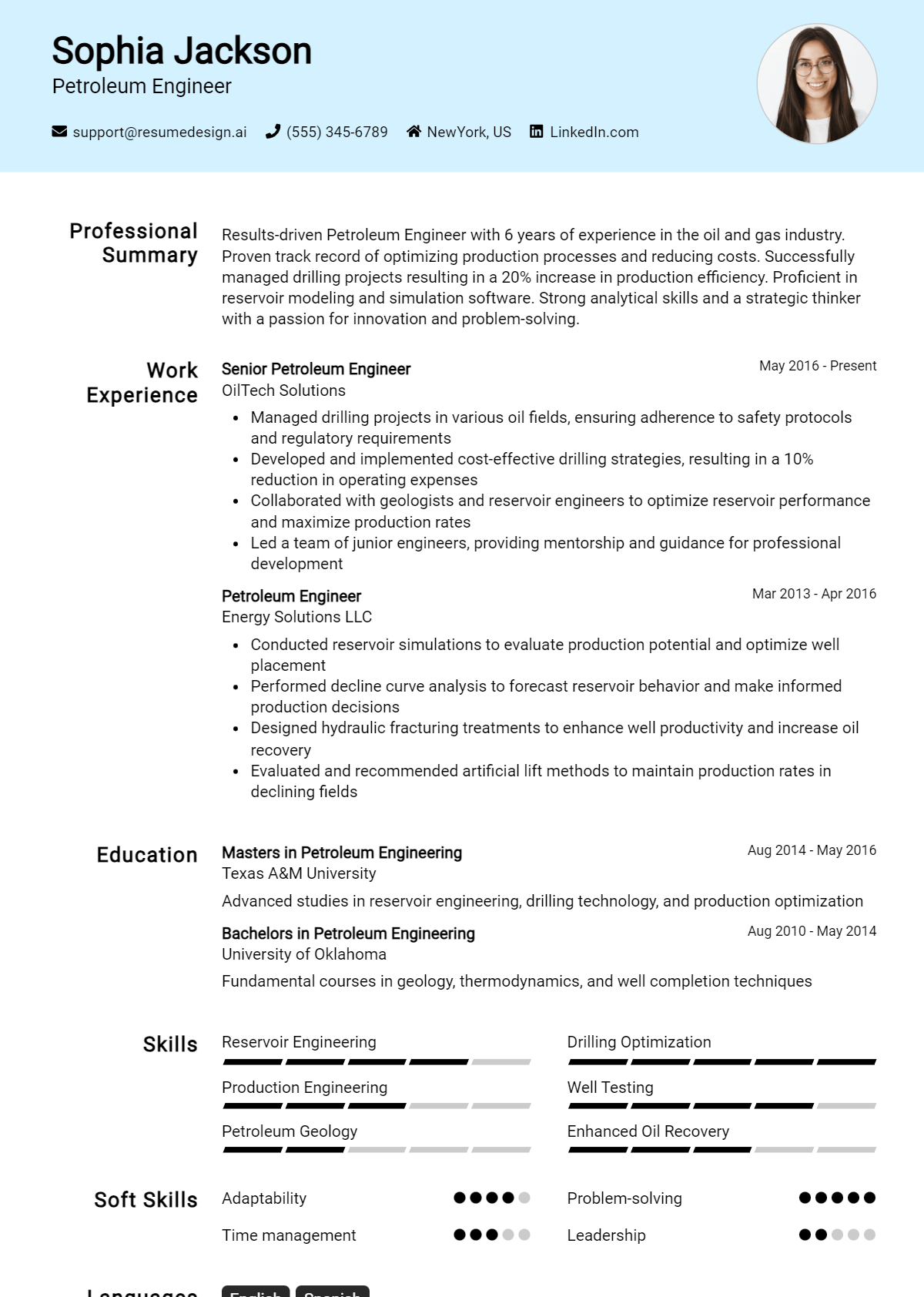 Petroleum Engineer Resume Example