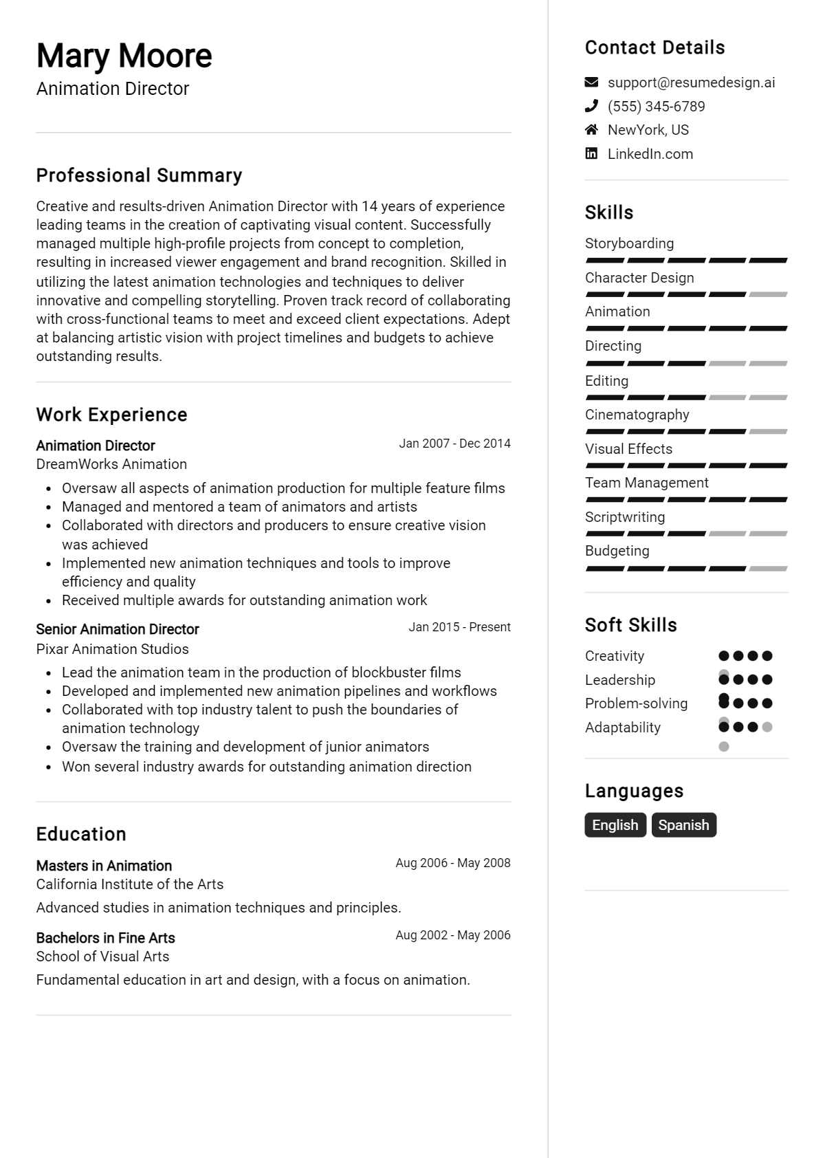 Animation Director Resume Example