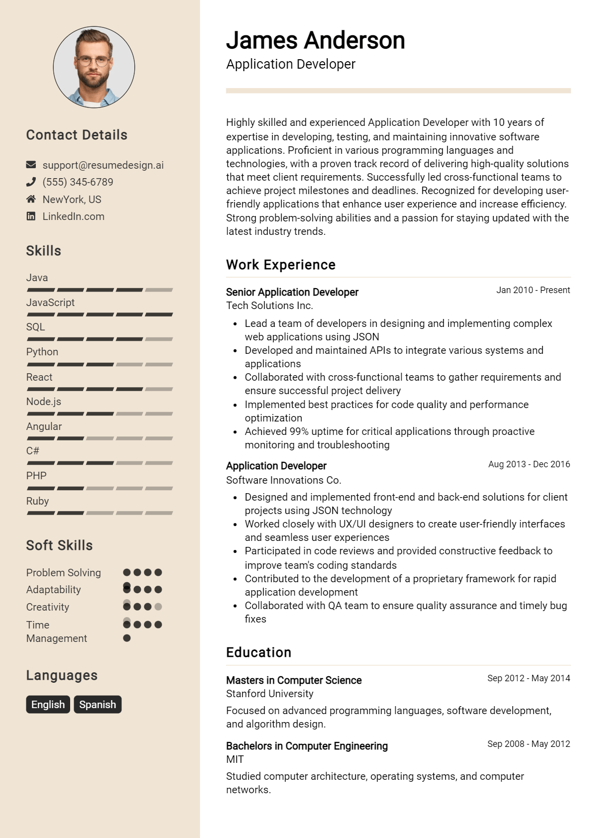 Application Developer Resume Example