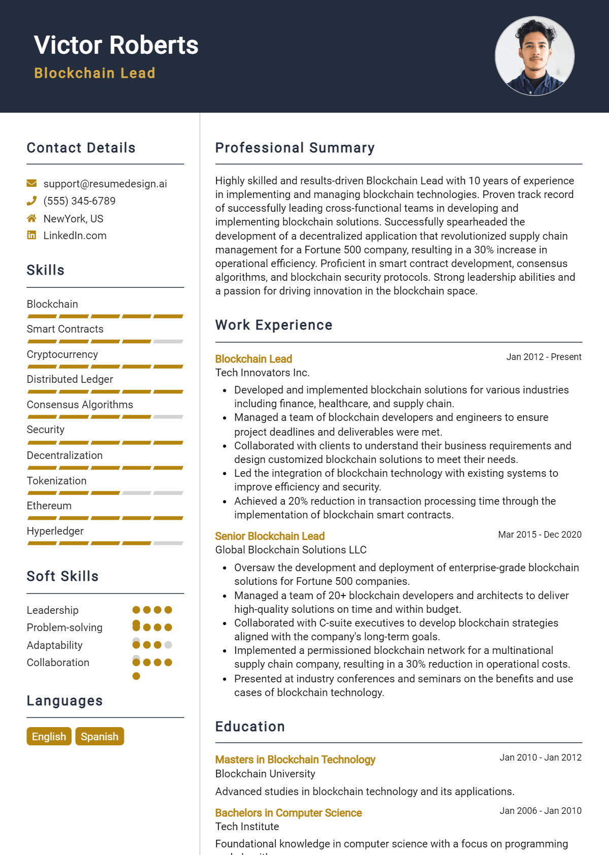 Blockchain Lead Resume Example