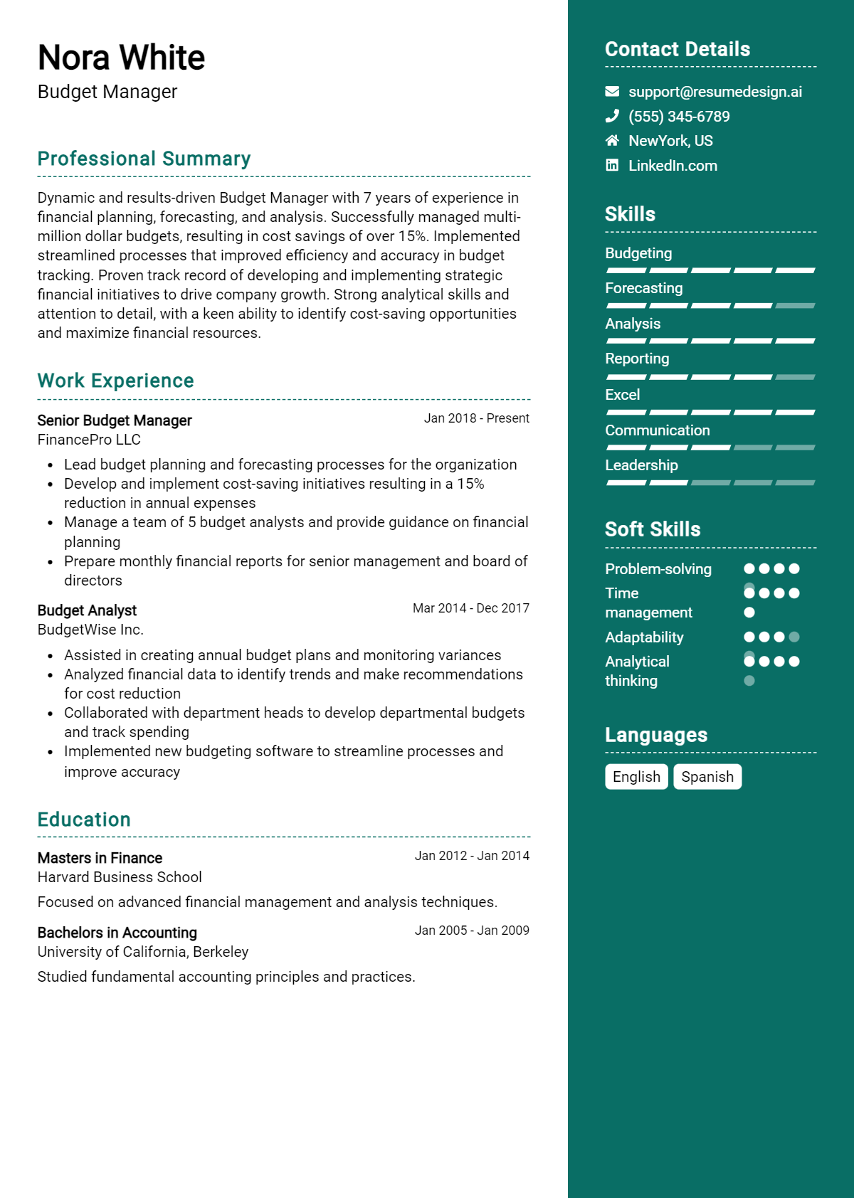 Budget Manager Resume Example