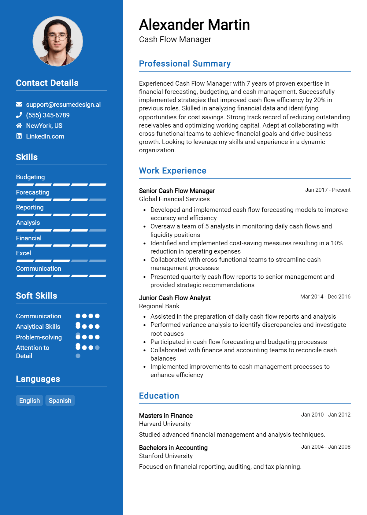 Cash Flow Manager Resume Example