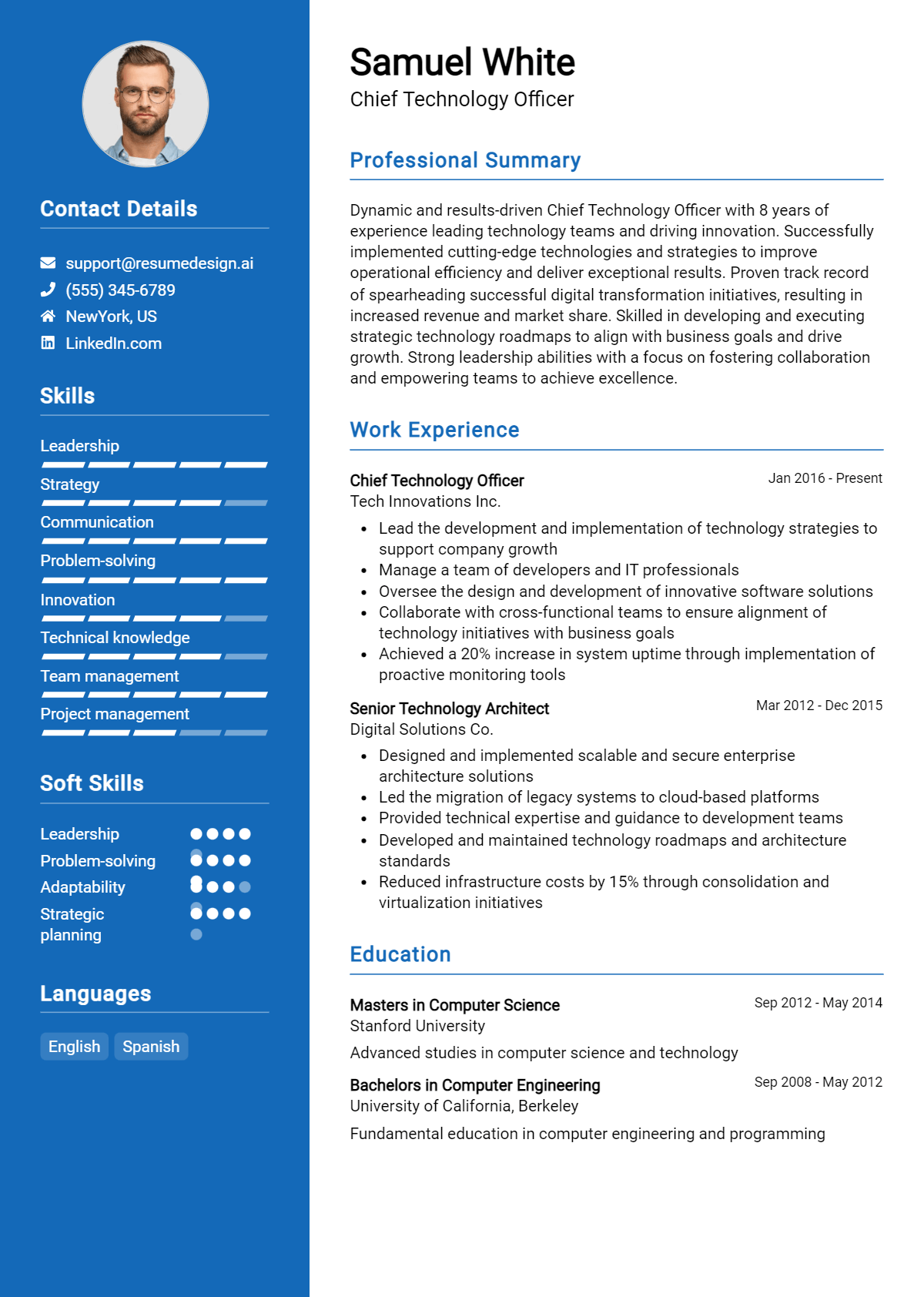 Chief Technology Officer Resume Example