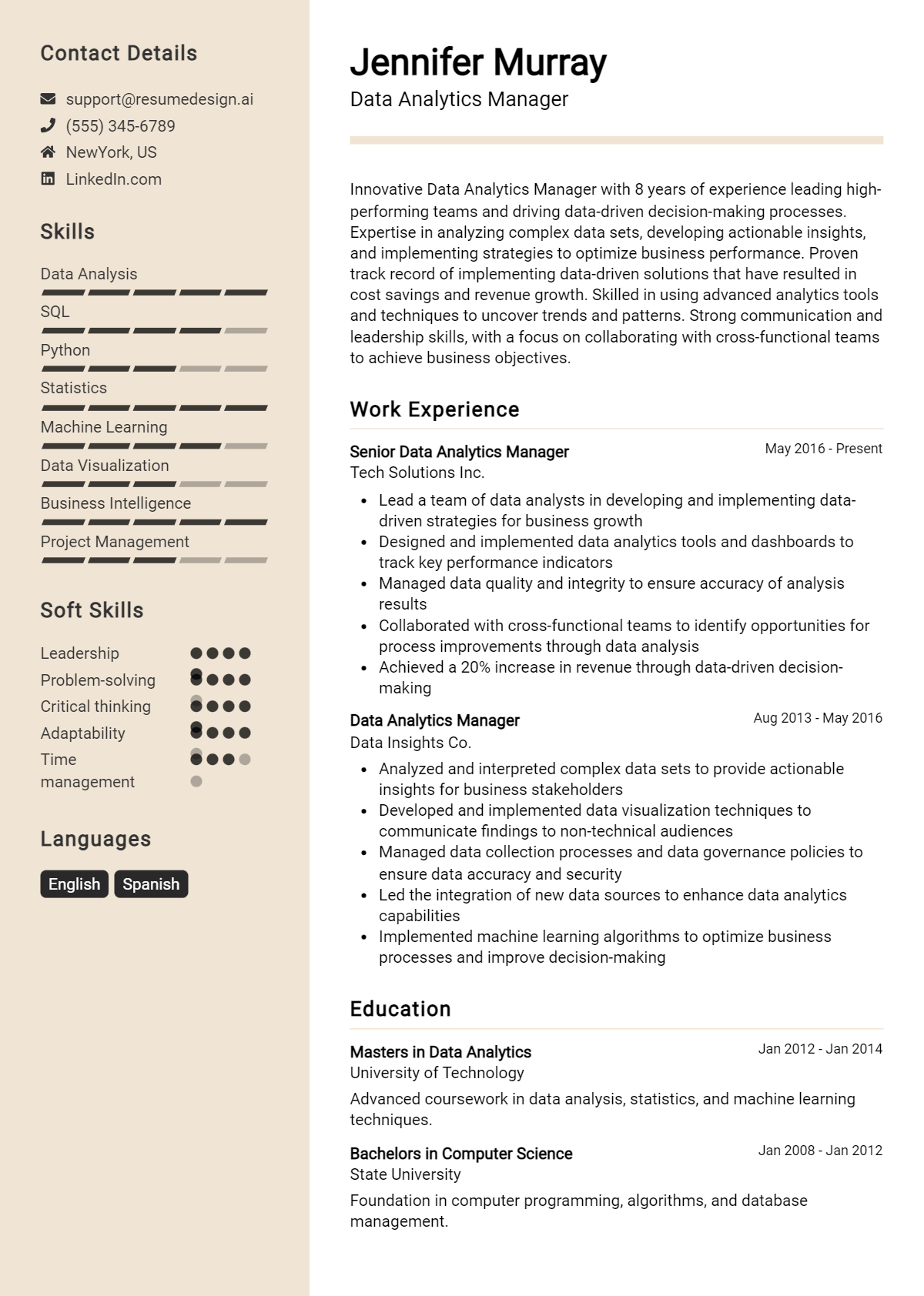 Data Analytics Manager Resume Example