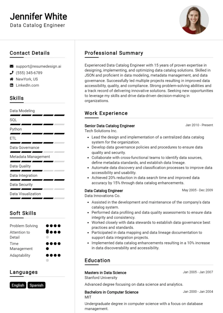 Data Catalog Engineer Resume Example