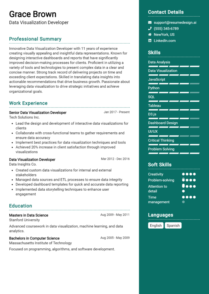 Data Visualization Developer Resume Example