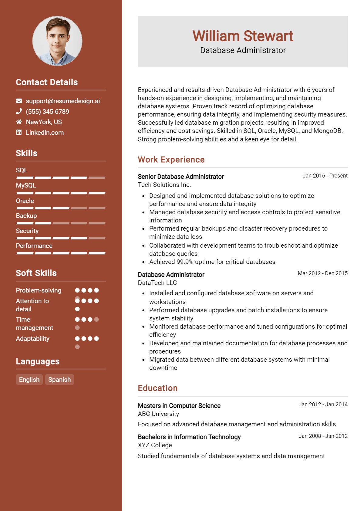 Database Administrator Resume Example