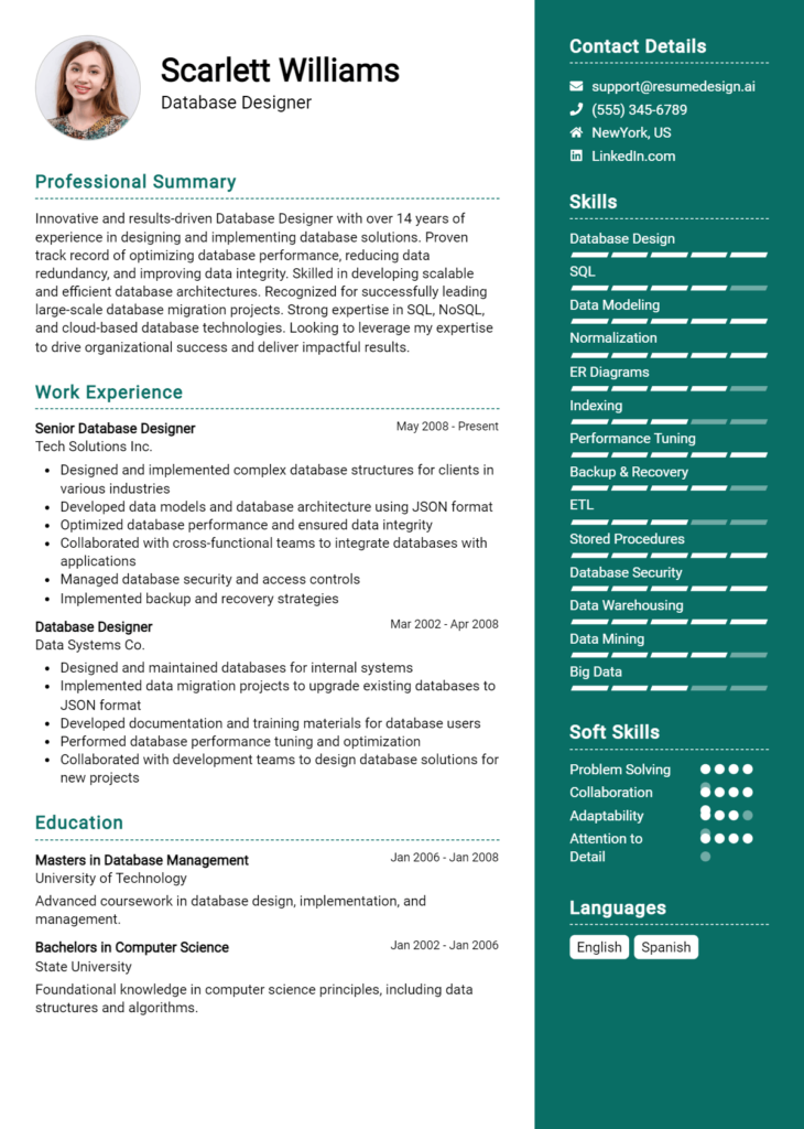 Database Designer Resume Example