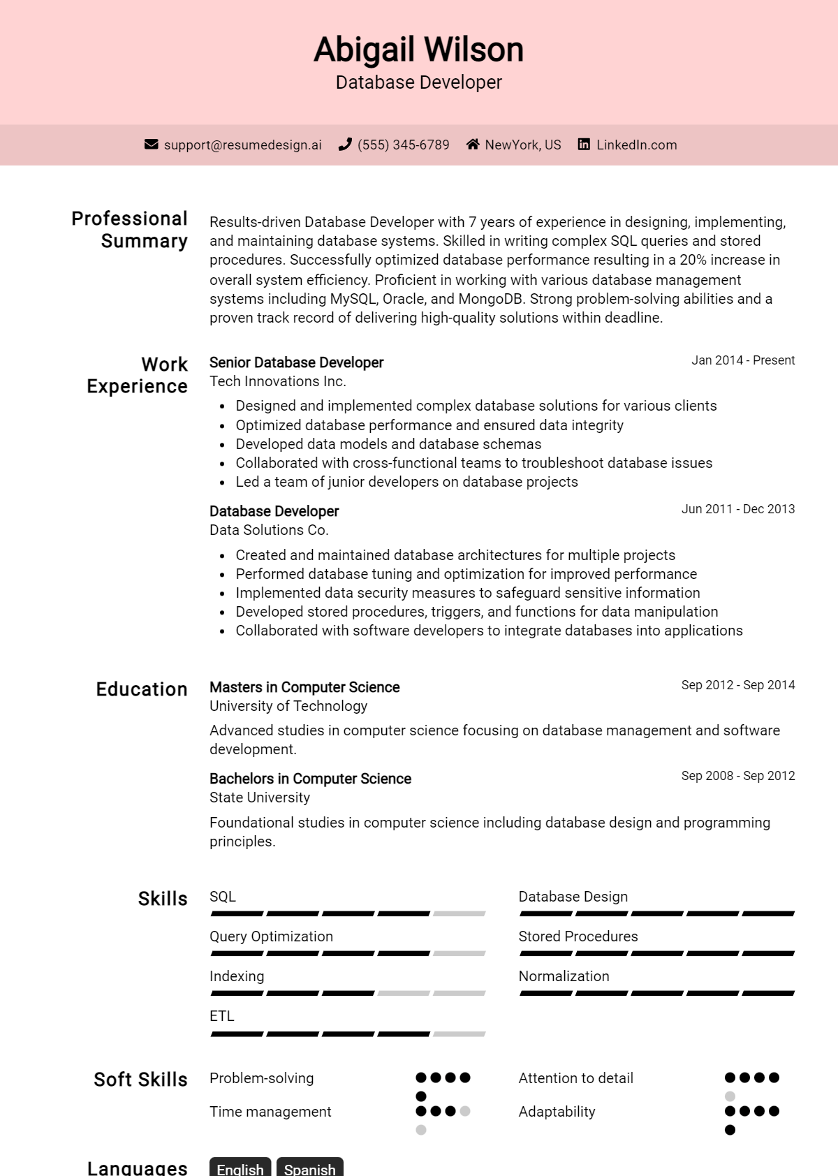 Database Developer Resume Example