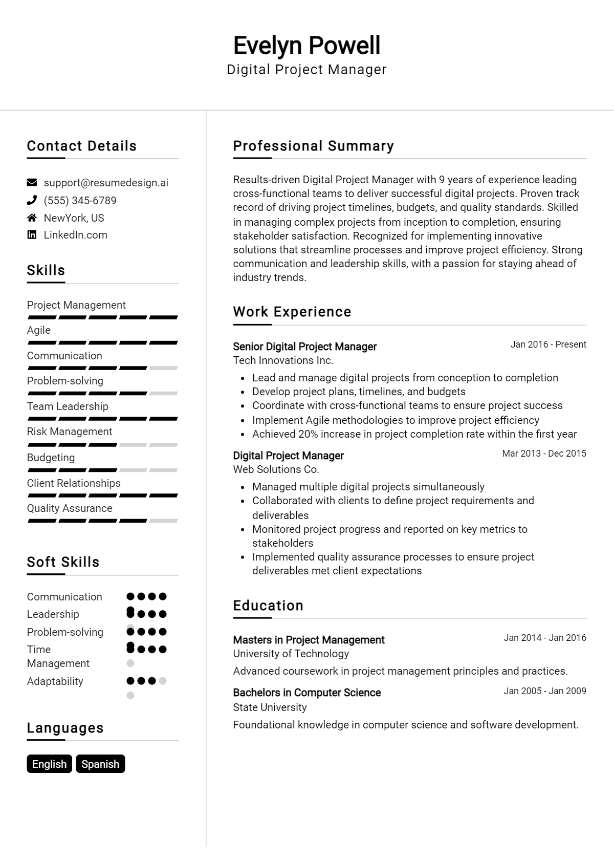 Digital Project Manager Resume Example