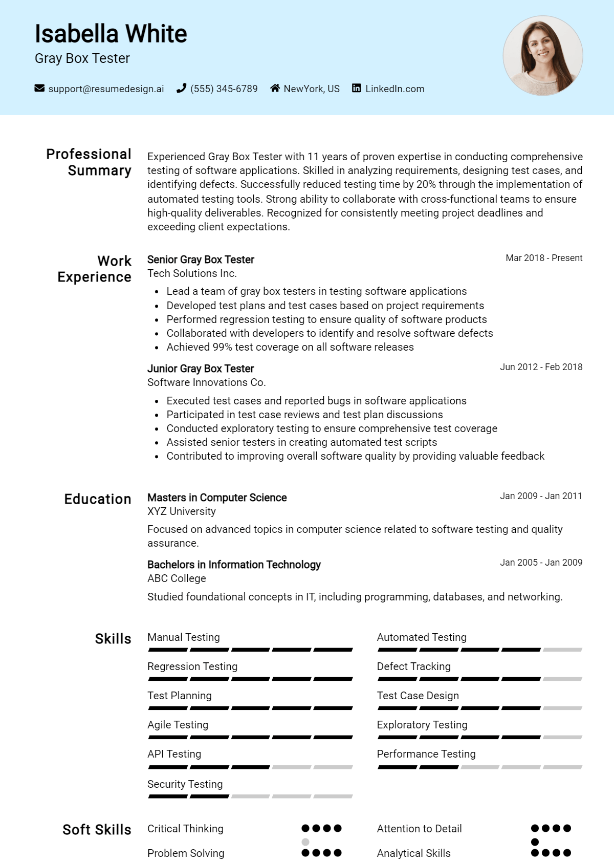 Gray Box Tester Resume Example