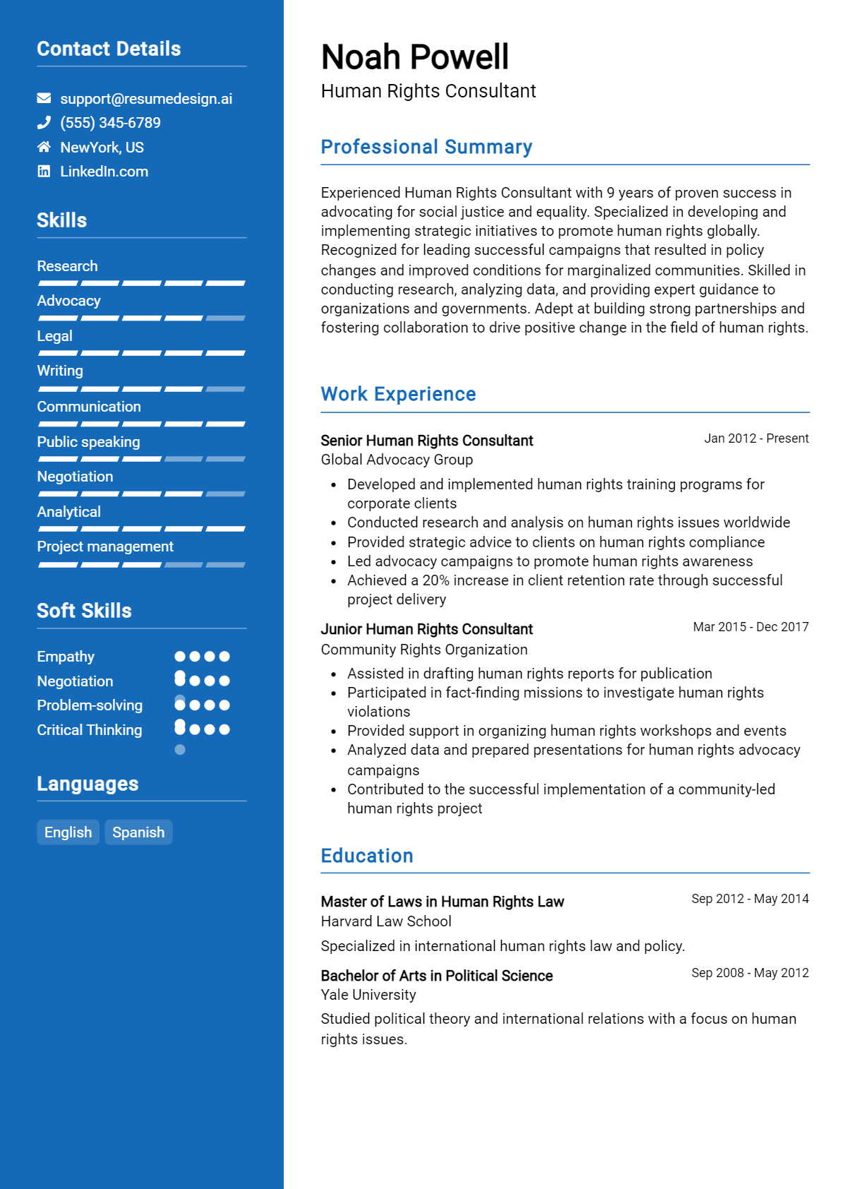 Human Rights Consultant Resume Example