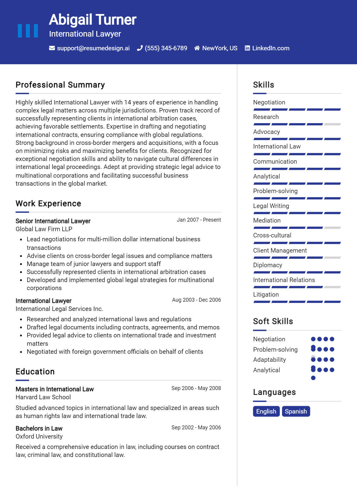 International Lawyer Resume Example