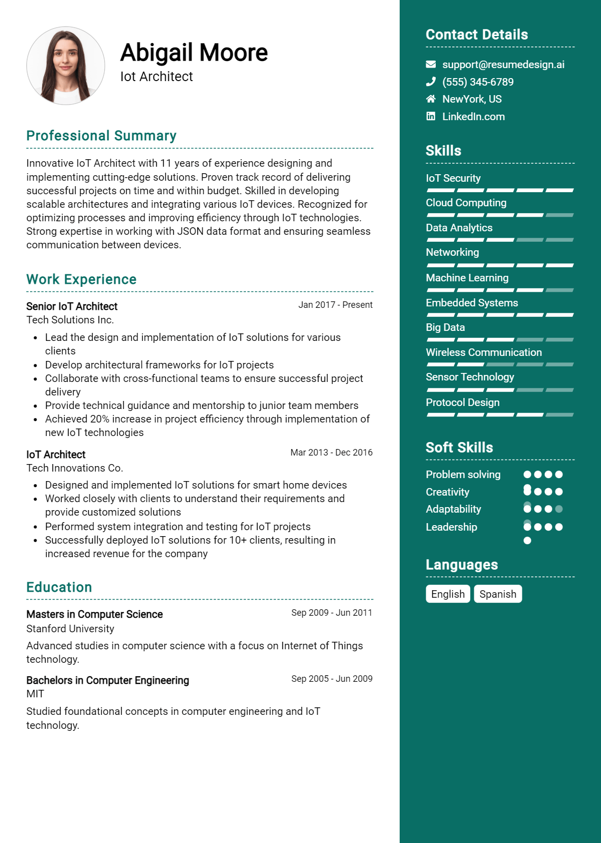 Iot Architect Resume Example