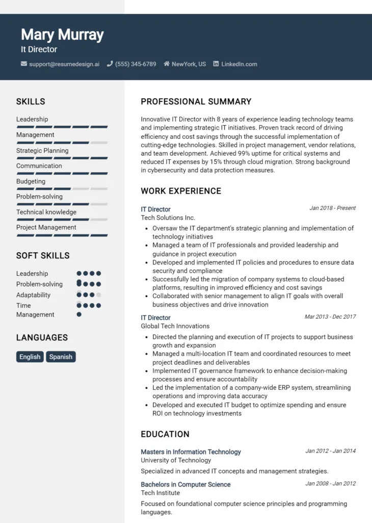It Director Resume Example