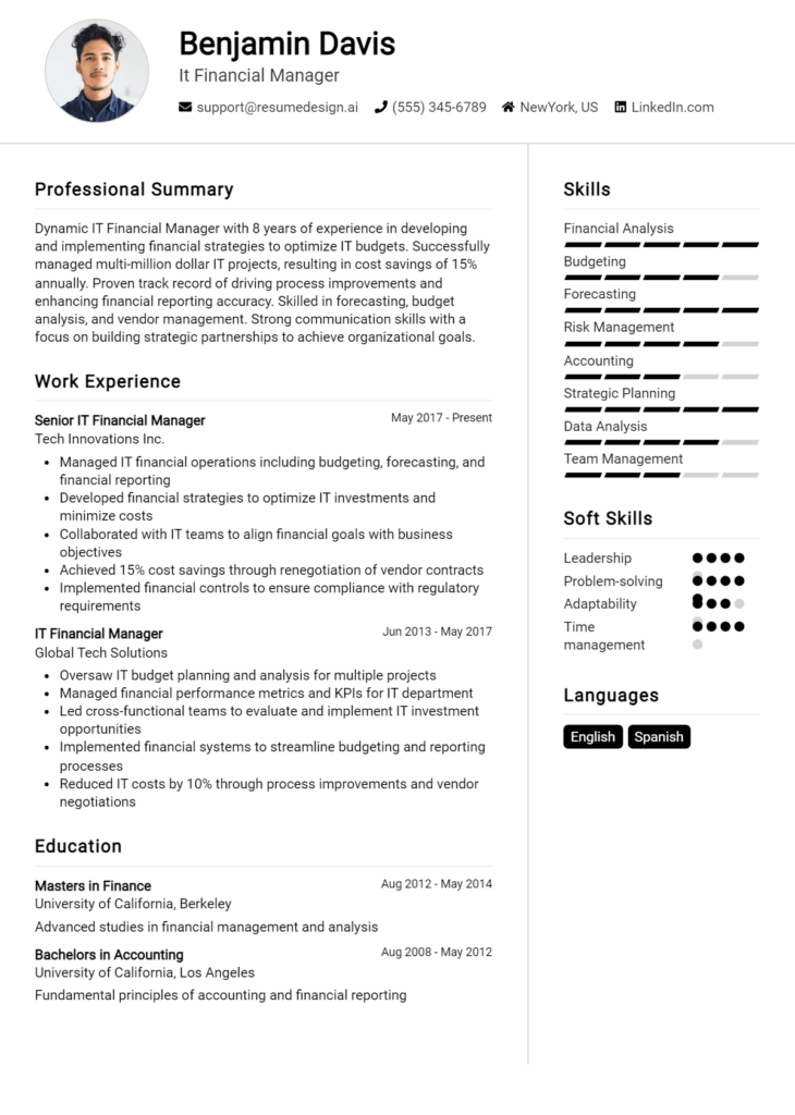 It Financial Manager Resume Example