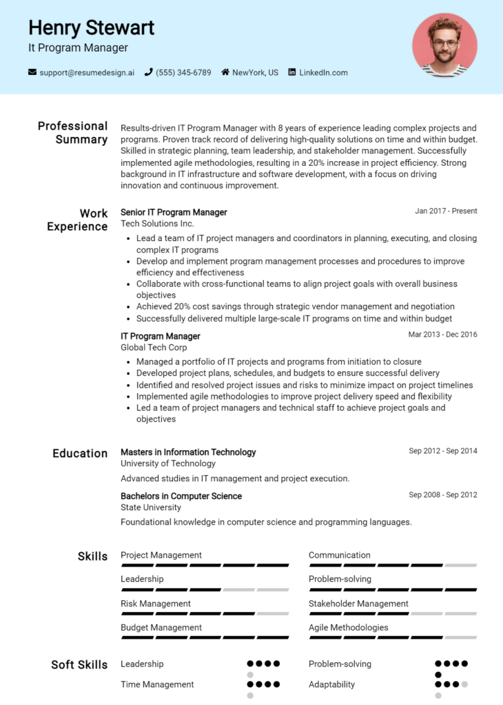 It Program Manager Resume Example