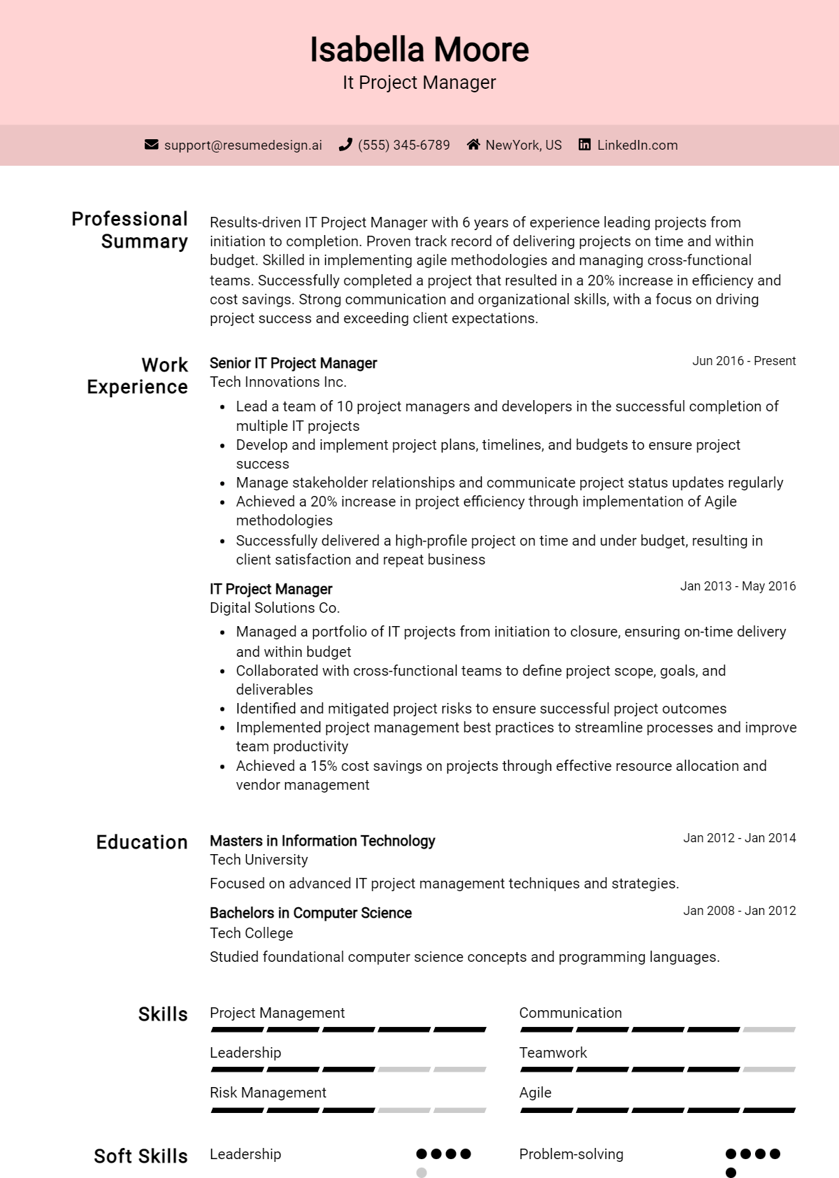 It Project Manager Resume Example