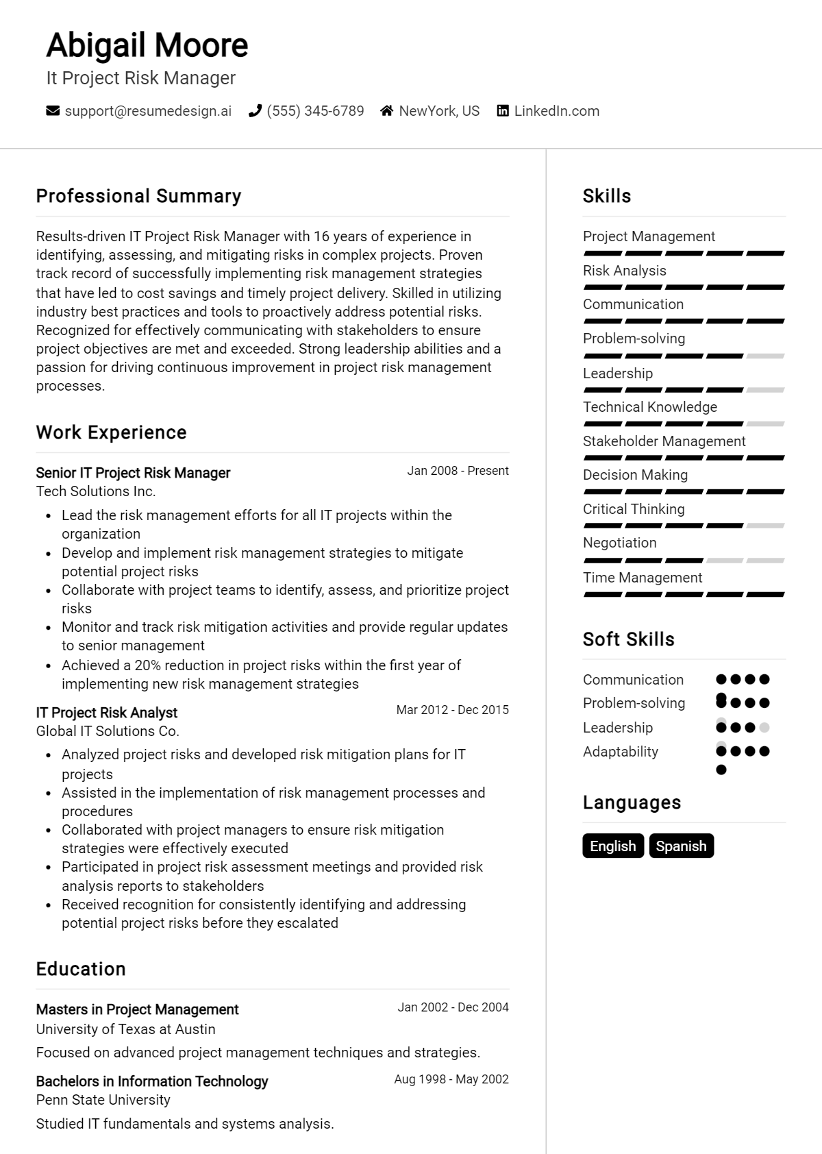 It Project Risk Manager Resume Example