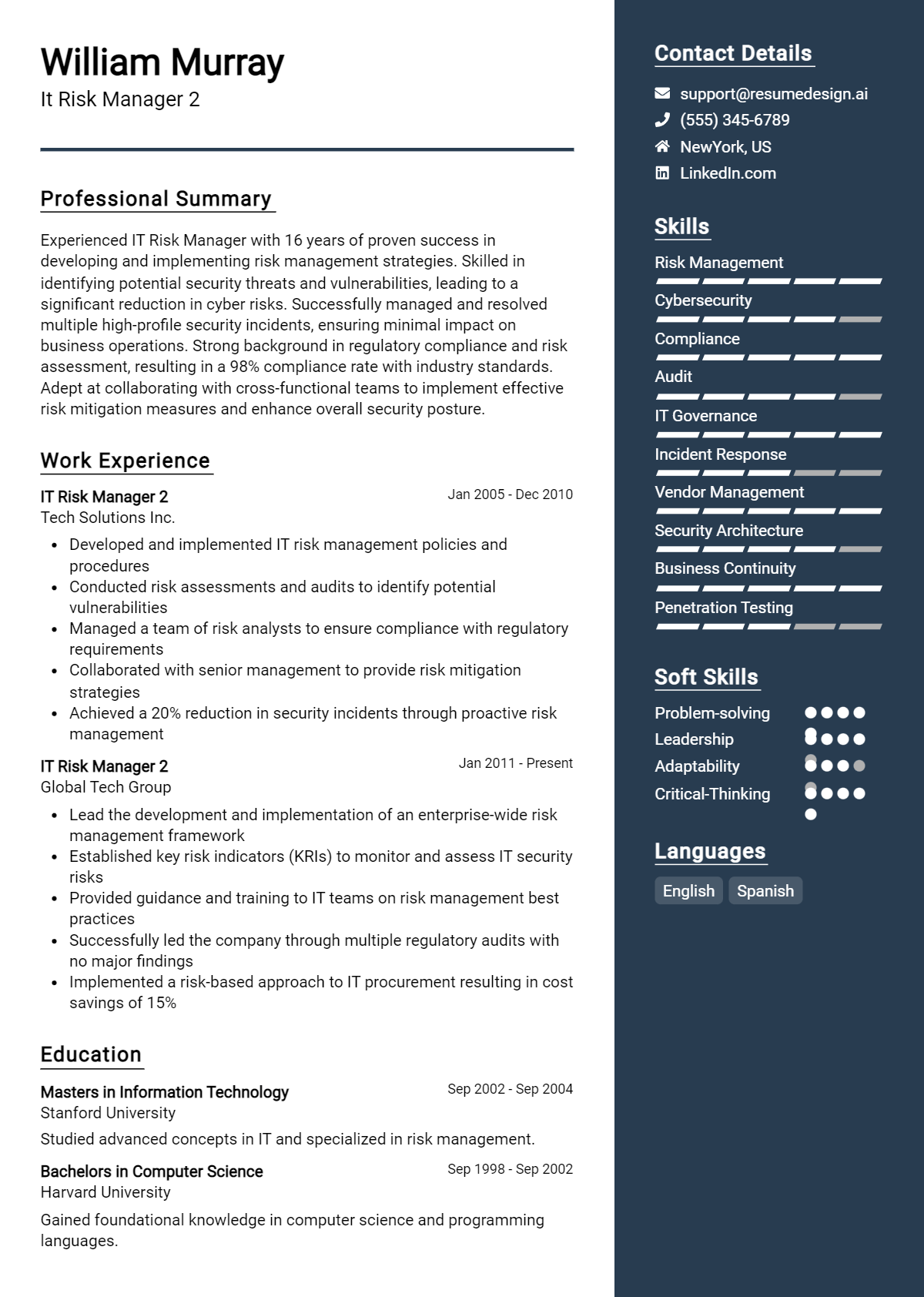 It Risk Manager 2 Resume Example