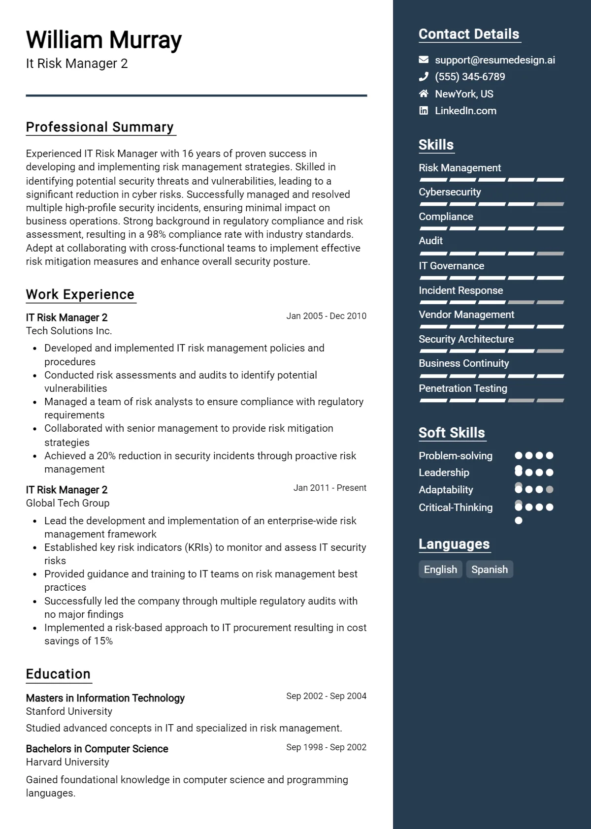 It Risk Manager 2 Resume Example